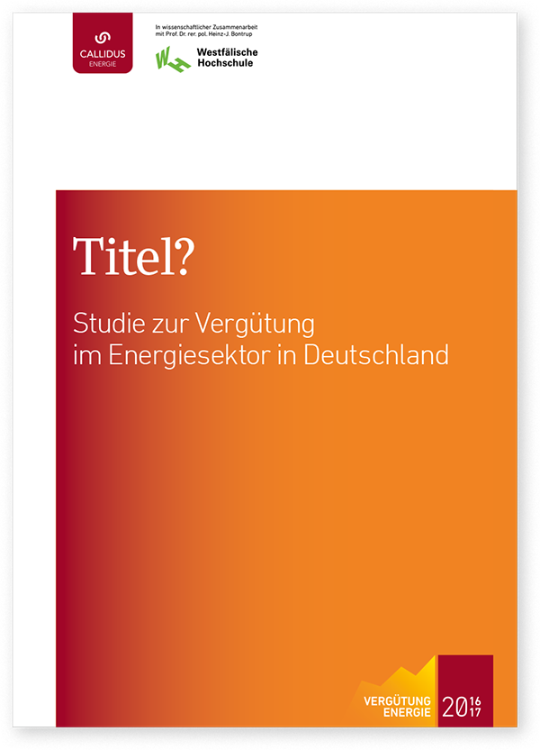 Studie Vergütung Energie 2016/17 – Titelseite